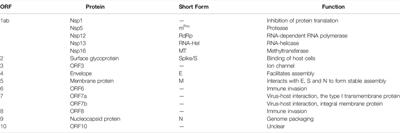 The Potential of Eukaryotic Cell-Free Systems as a Rapid Response to Novel Zoonotic Pathogens: Analysis of SARS-CoV-2 Viral Proteins